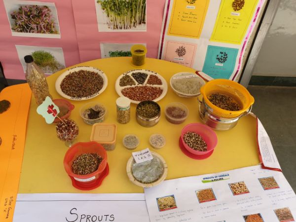SPROUTS DAY 2019-20